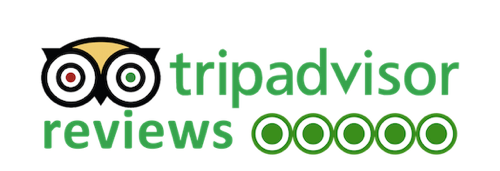 Tripadvisor Reviews